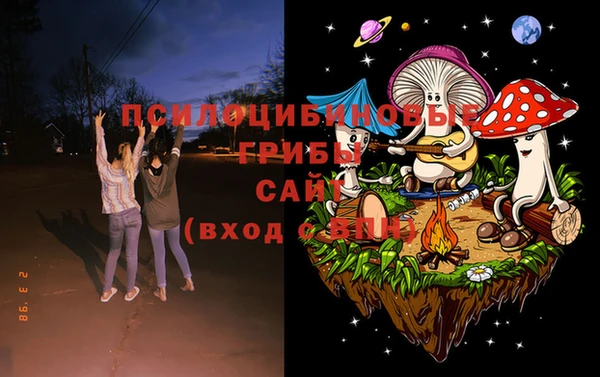 бошки Арсеньев