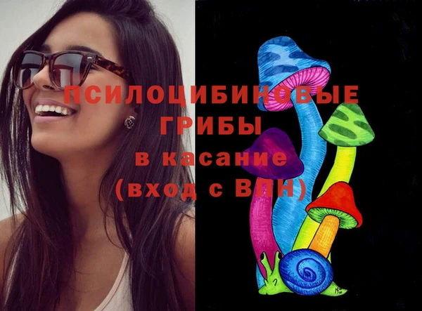 бошки Арсеньев